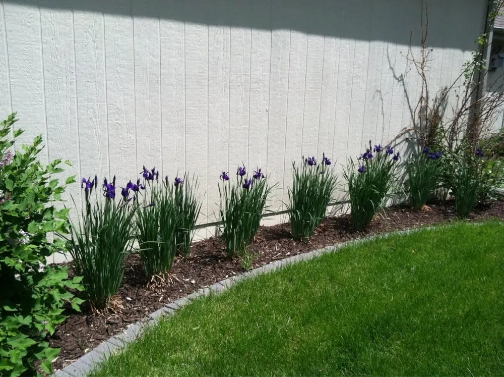 Reliable landscaping services in Omaha, NE by Dee-sign Landscaping & Garden Shop