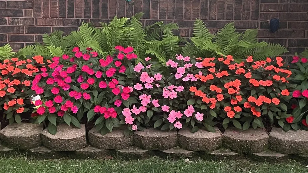 Top-rated outdoor landscaping in Tulsa, OK by DeeDees Bloomers Landscape & Design