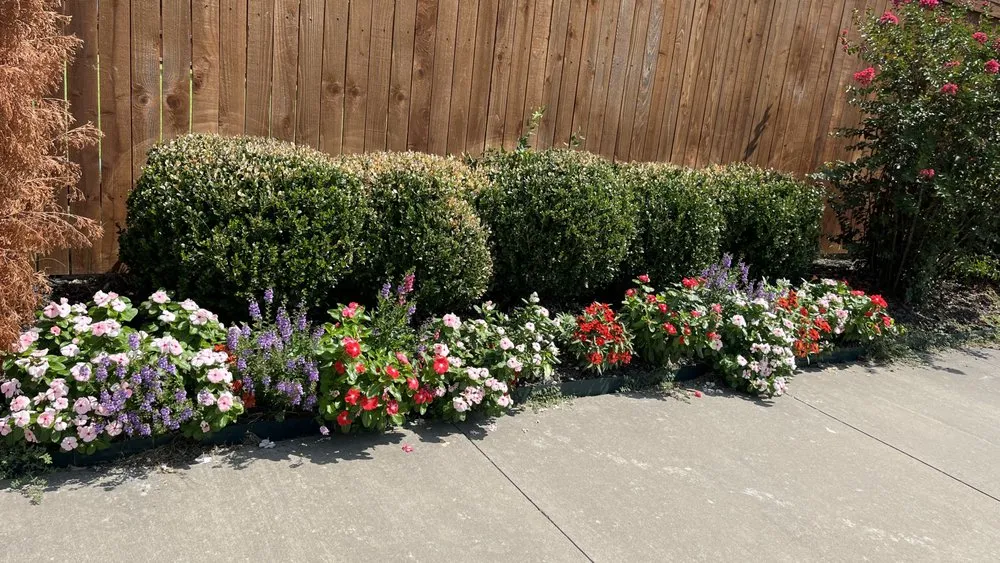 Local lawn care service experts serving Tulsa, OK - DeeDees Bloomers Landscape & Design