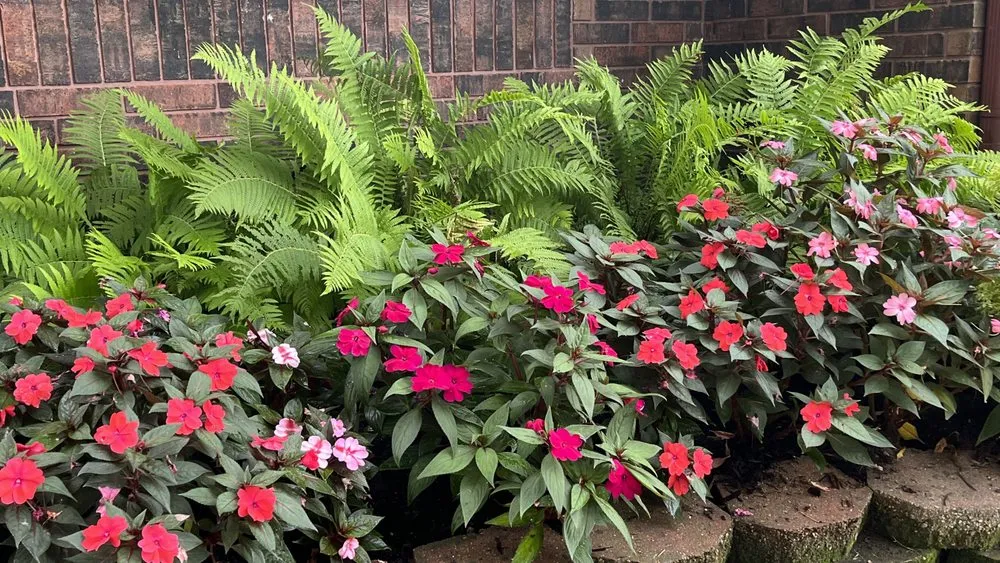 Custom yard cleanup service for beautiful yards across Tulsa, OK - DeeDees Bloomers Landscape & Design