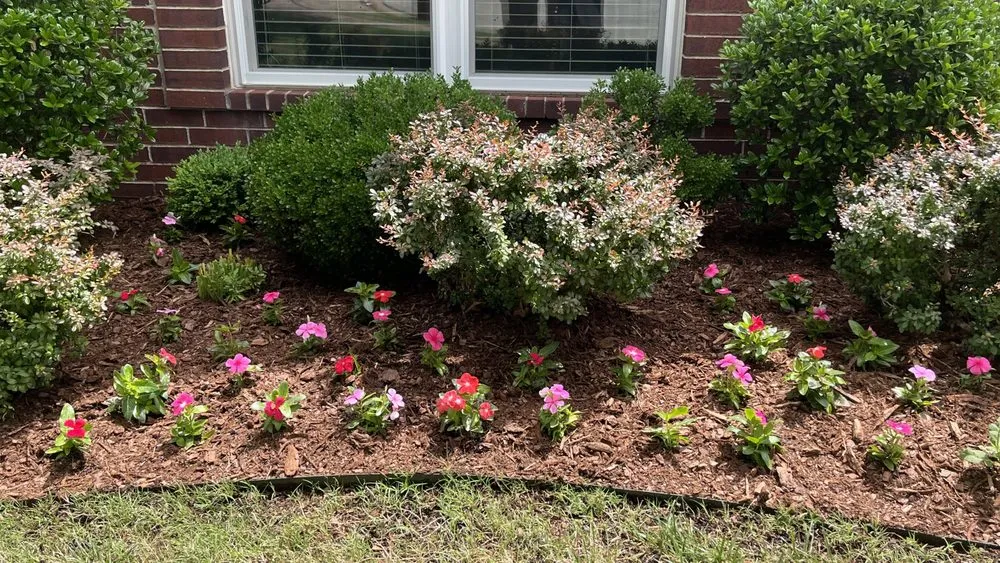 Top-rated landscape design in Tulsa, OK by DeeDees Bloomers Landscape & Design