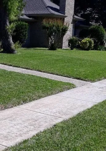 Custom garden landscaping in Cedar Park, TX by DeeDee's Landscaping