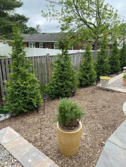 Top-rated yard cleanup service experts serving Falls Church, VA - Deehan Landscaping