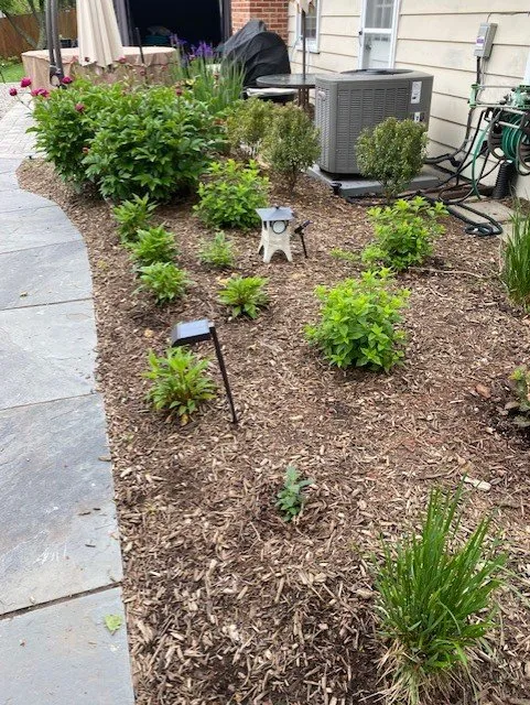 Expert landscape installation in Falls Church, VA - Deehan Landscaping