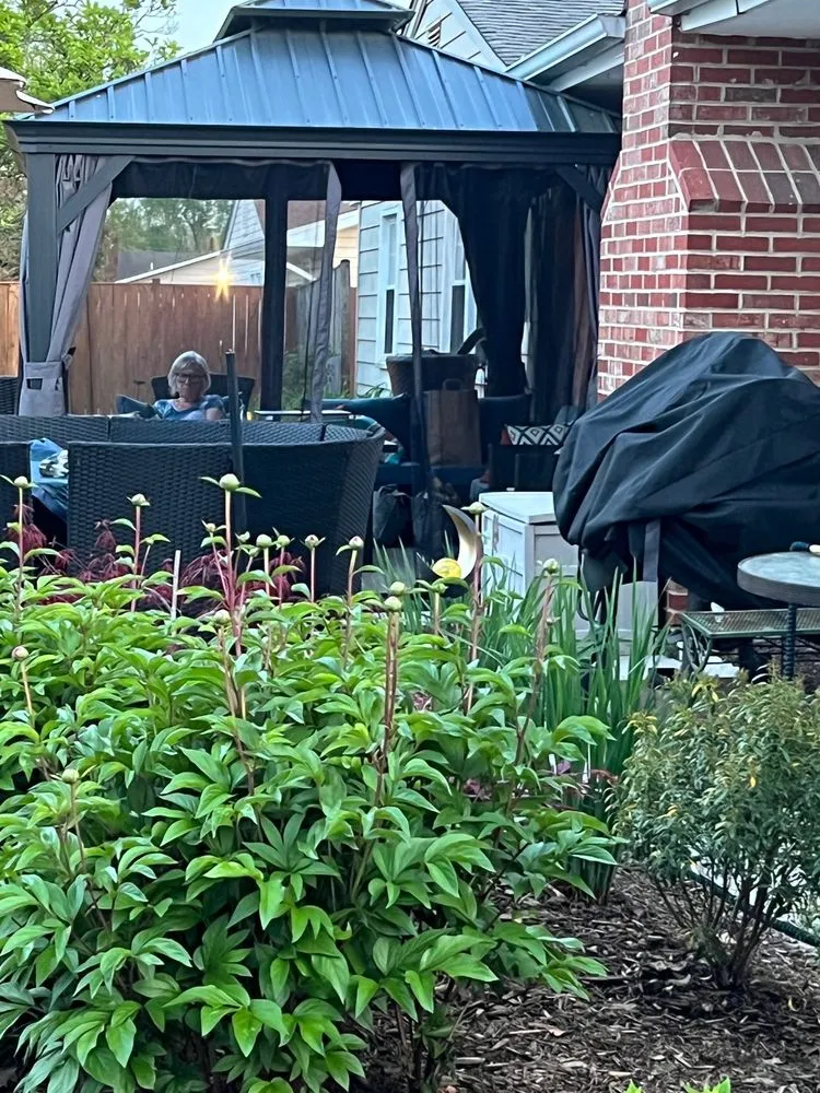 Custom yard maintenance for year-round maintenance across Falls Church, VA - Deehan Landscaping