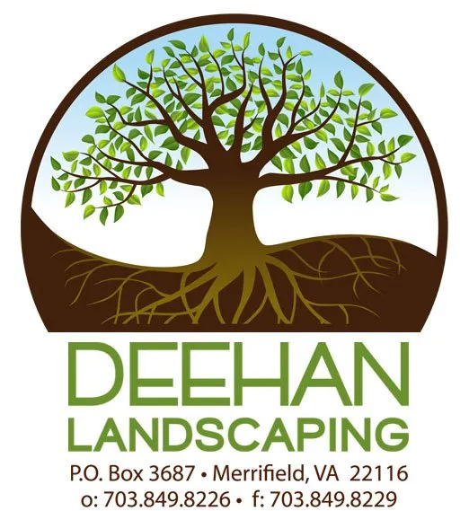 Professional lawn care service for beautiful yards across Falls Church, VA - Deehan Landscaping