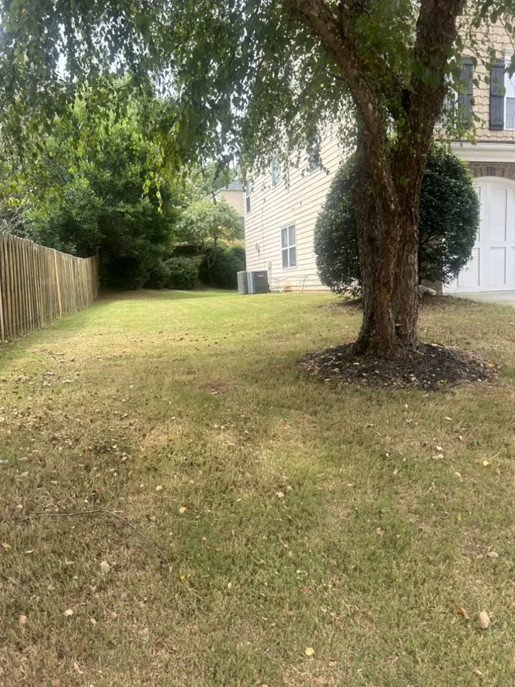 Custom yard maintenance in Gainesville, GA - Deeno’s Imperial Landscaping