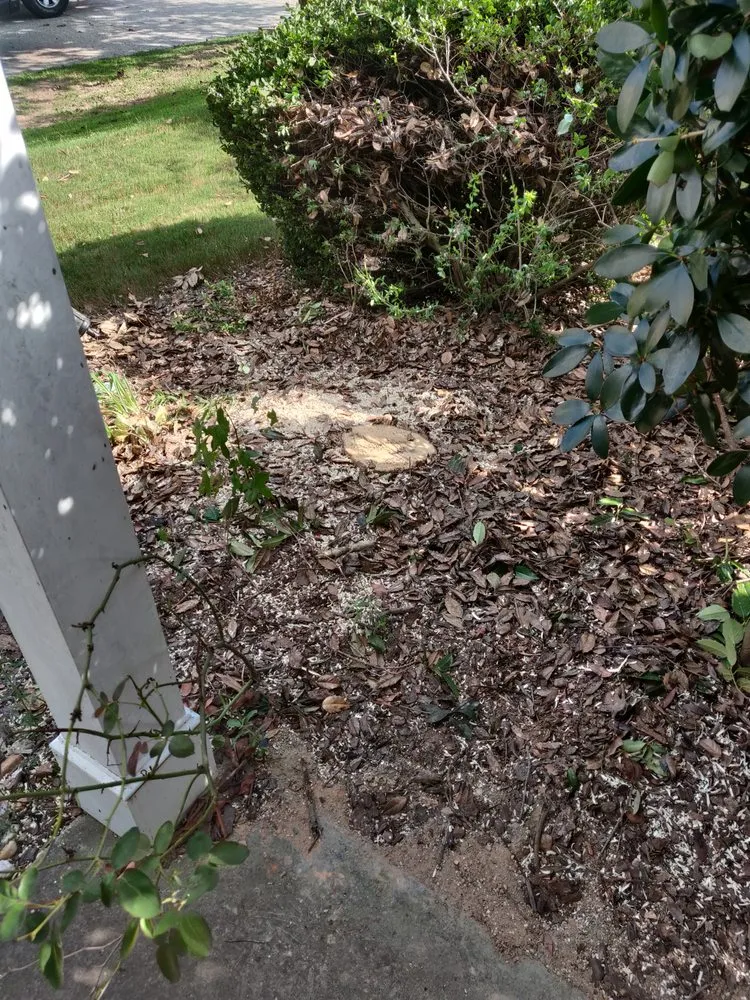 Professional lawn care service for outdoor upgrades across Gainesville, GA - Deeno’s Imperial Landscaping