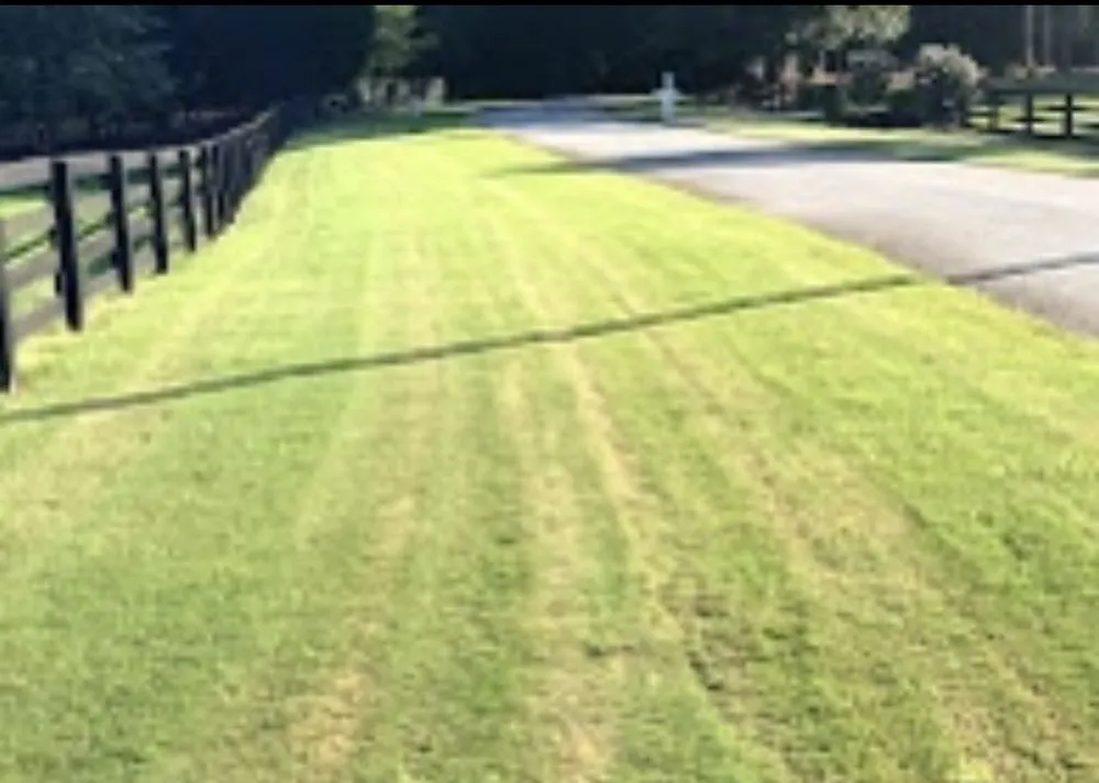 Professional residential landscaping in Gainesville, GA by Deeno’s Imperial Landscaping