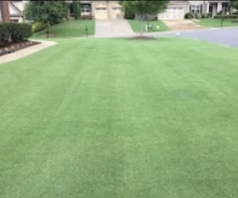 Custom yard cleanup service experts serving Gainesville, GA - Deeno’s Imperial Landscaping