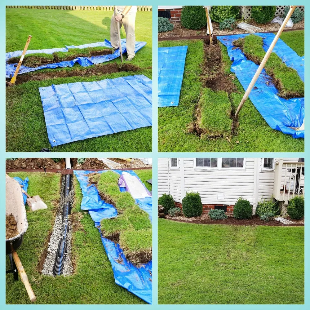 Top-rated yard cleanup service experts serving Virginia Beach, VA - Deep Creek Earthworks
