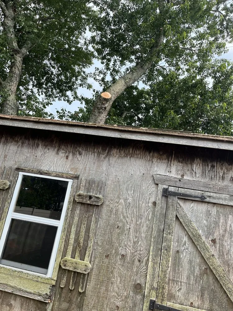 Trusted residential landscaping near you in Chesapeake, VA by Deep Creek Tree Care