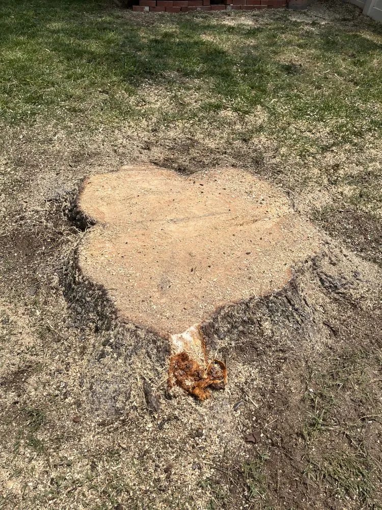 Custom outdoor landscaping in Chesapeake, VA by Deep Creek Tree Care