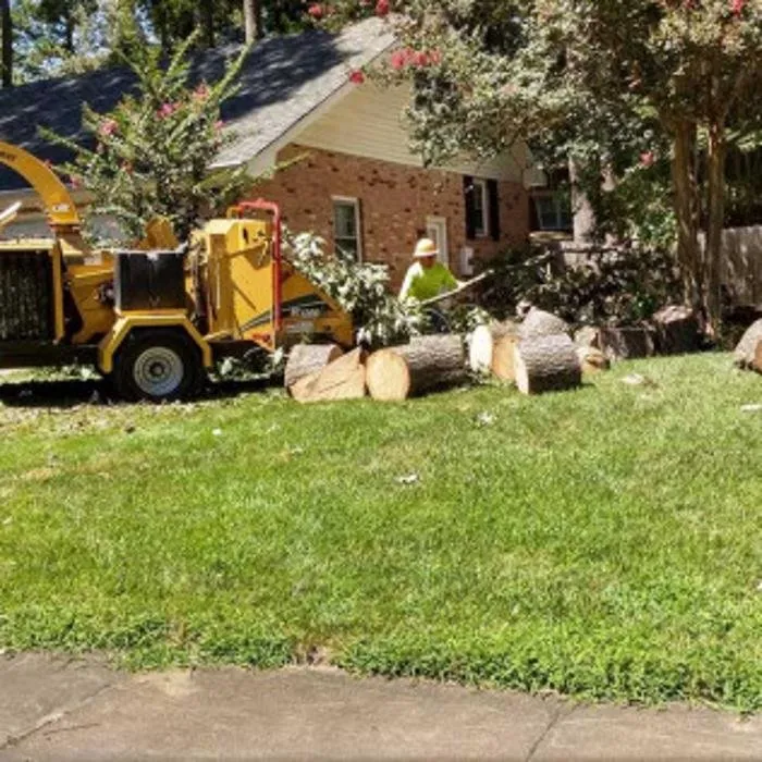 Professional outdoor landscaping in Chesapeake, VA - Deep Creek Tree Care