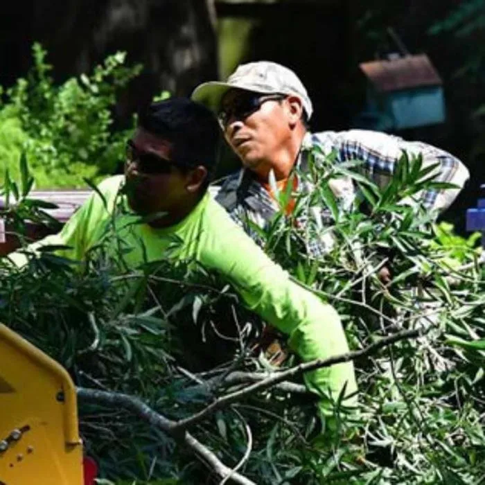 Trusted garden landscaping in Chesapeake, VA by Deep Creek Tree Care