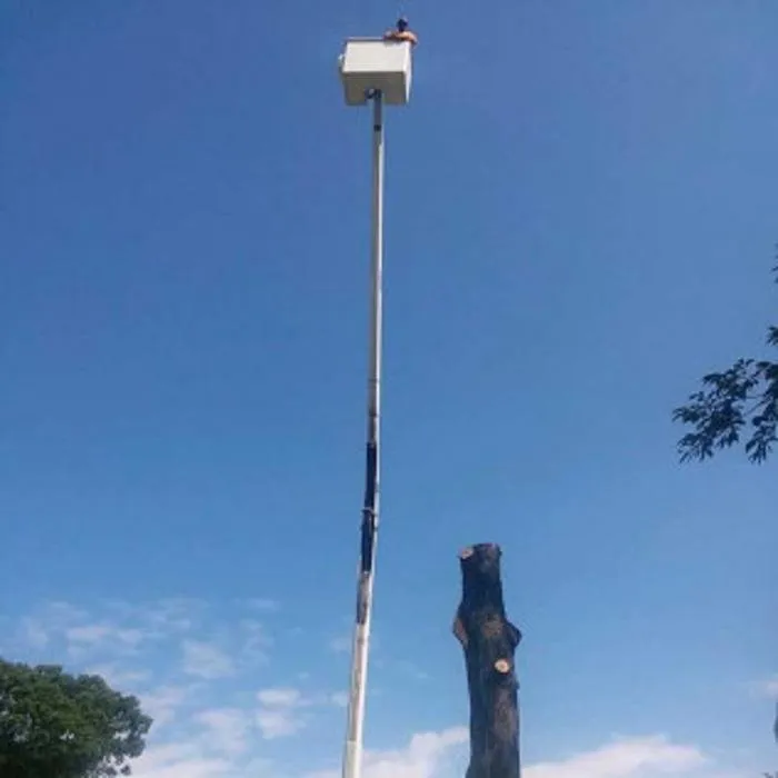 Reliable yard cleanup service for outdoor upgrades across Chesapeake, VA - Deep Creek Tree Care