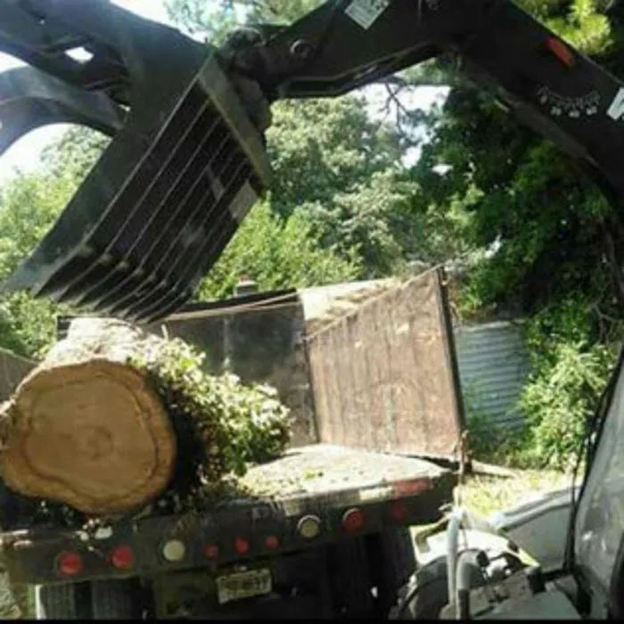 Top-rated landscape installation for residential properties across Chesapeake, VA - Deep Creek Tree Care