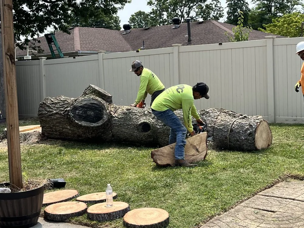 Affordable landscaping services in Chesapeake, VA - Deep Creek Tree Care