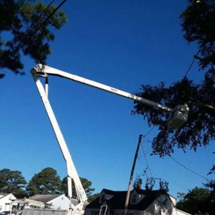 Professional lawn mowing service with custom design across Chesapeake, VA - Deep Creek Tree Care