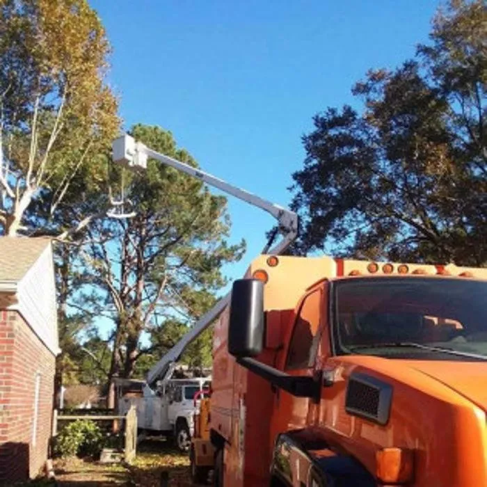 Reliable landscaping services near you across Chesapeake, VA - Deep Creek Tree Care