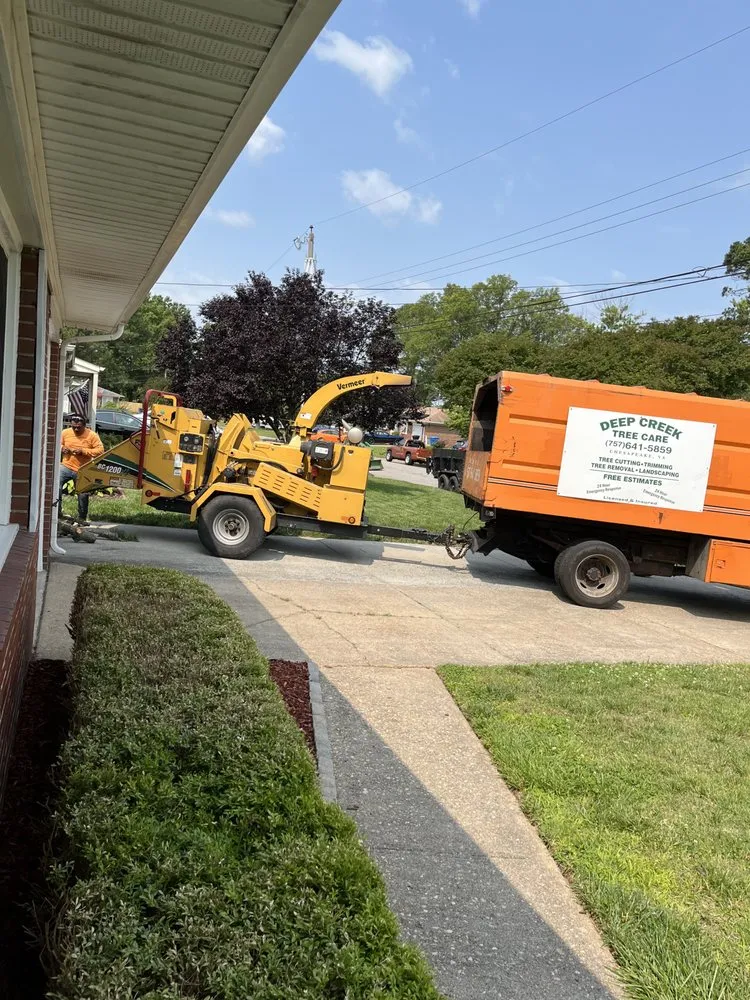Top-rated yard maintenance for beautiful yards in Chesapeake, VA by Deep Creek Tree Care