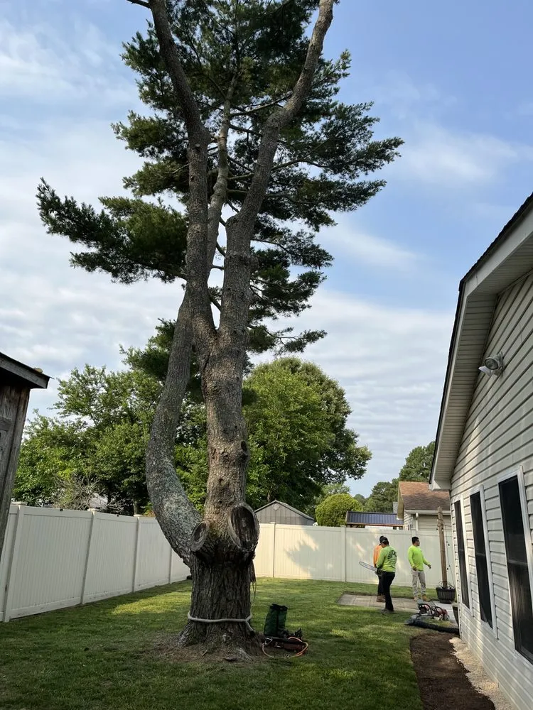 Affordable landscape design for residential properties across Chesapeake, VA - Deep Creek Tree Care