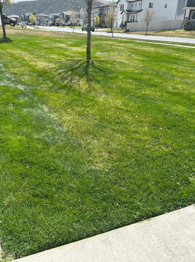 Custom landscape installation in Eagle Mountain, UT - Deep Cuts Lawn Services