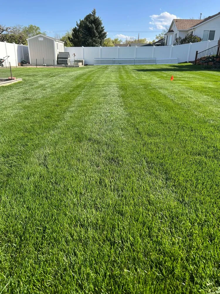 Professional lawn care service in Eagle Mountain, UT - Deep Cuts Lawn Services