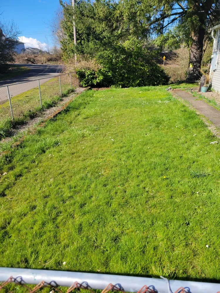 Reliable landscape design experts serving Corvallis, OR - Deep Dive Lawn