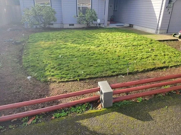 Trusted garden landscaping for homes across Corvallis, OR - Deep Dive Lawn