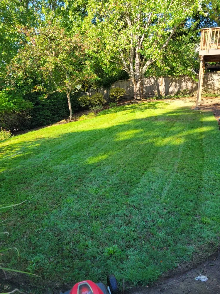 Affordable landscape design in Corvallis, OR by Deep Dive Lawn