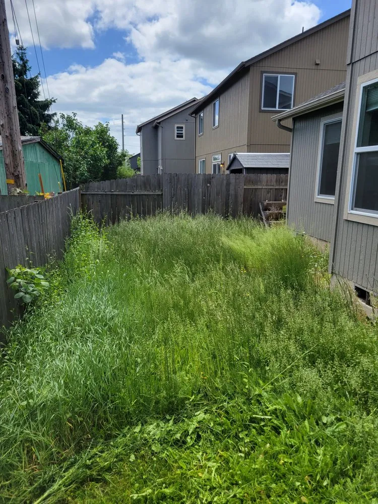 Local yard maintenance near you across Corvallis, OR - Deep Dive Lawn