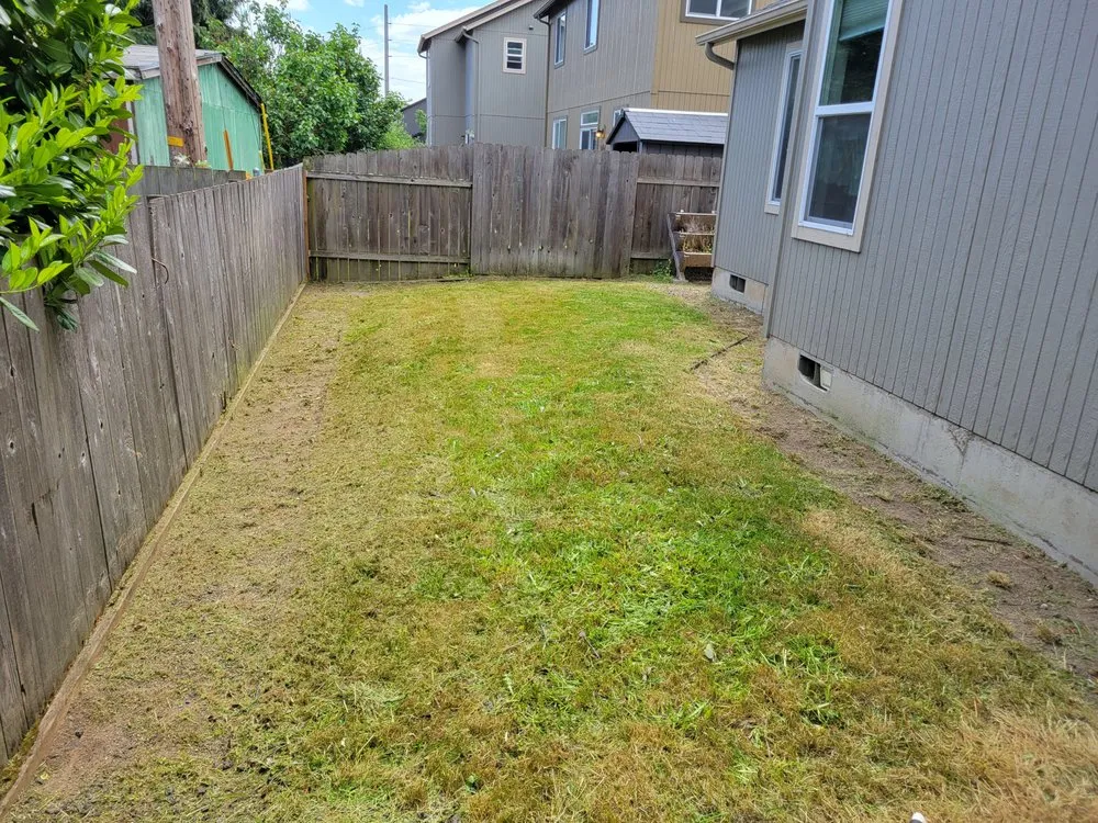 Affordable lawn mowing service in Corvallis, OR - Deep Dive Lawn