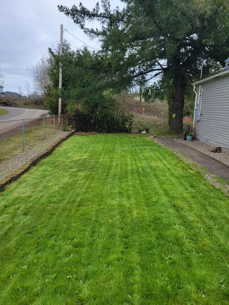 Affordable landscape design in Corvallis, OR by Deep Dive Lawn