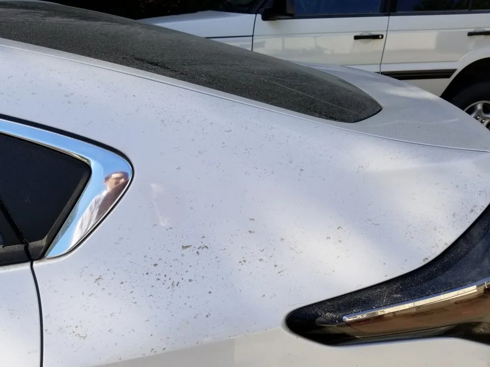 Custom yard maintenance for beautiful yards across Greenfield, NH - Deep Green Landscaping