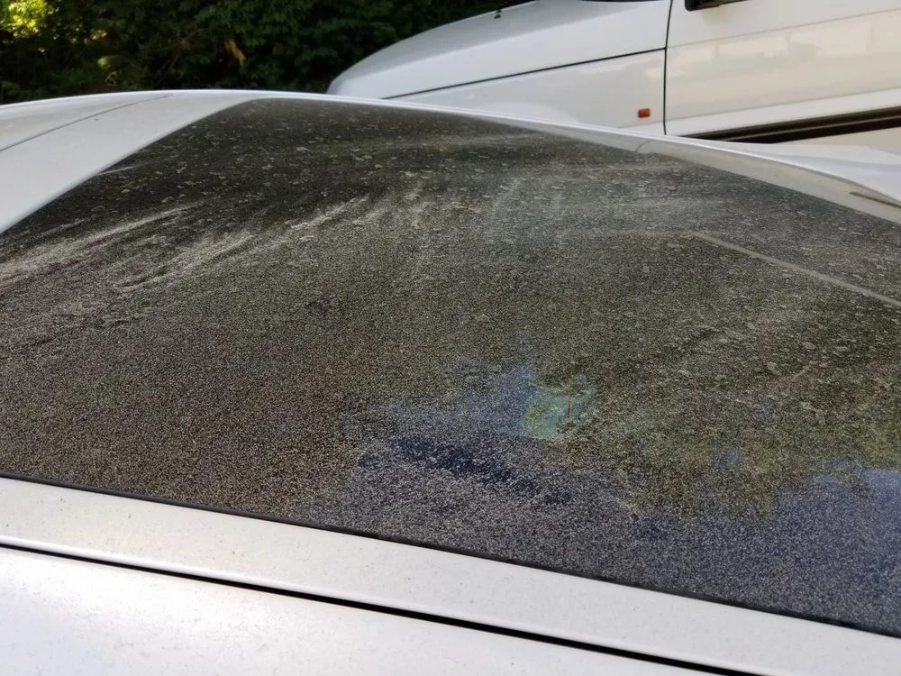 Custom landscape design in Greenfield, NH - Deep Green Landscaping