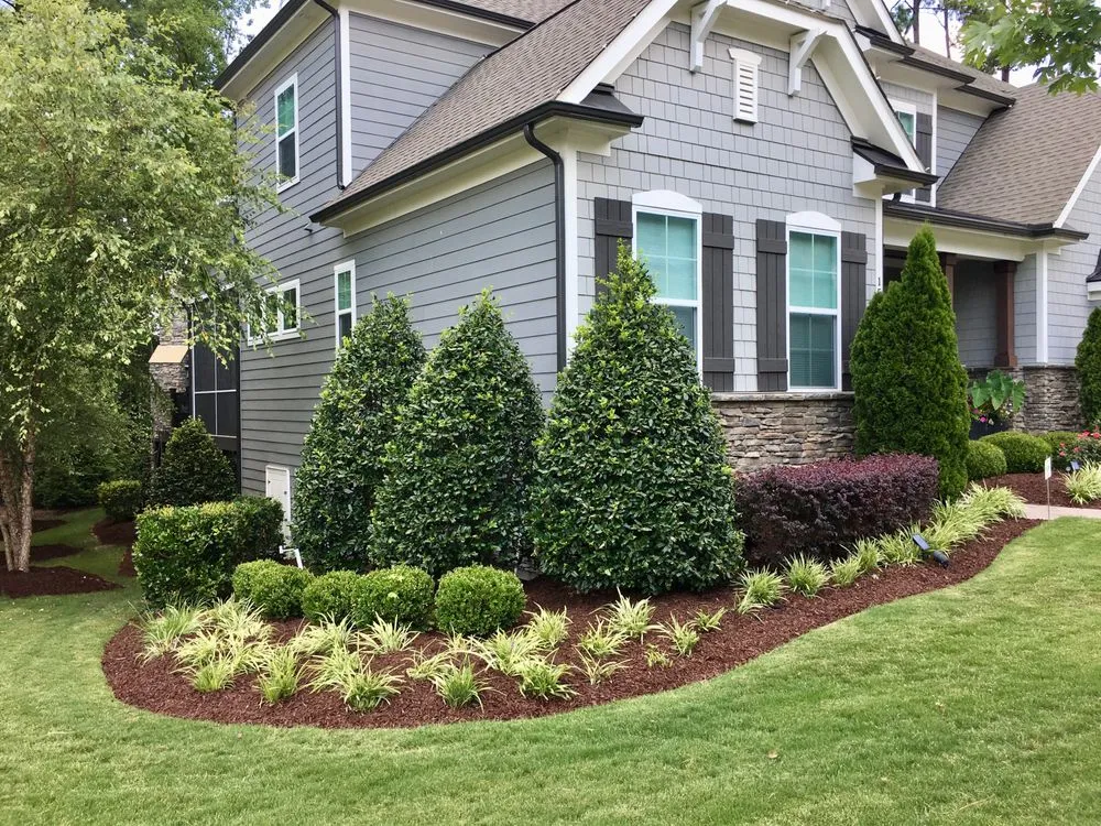 Professional lawn care service in Raleigh, NC - Deep Green Services