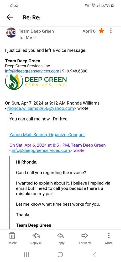 Local yard cleanup service in Raleigh, NC by Deep Green Services