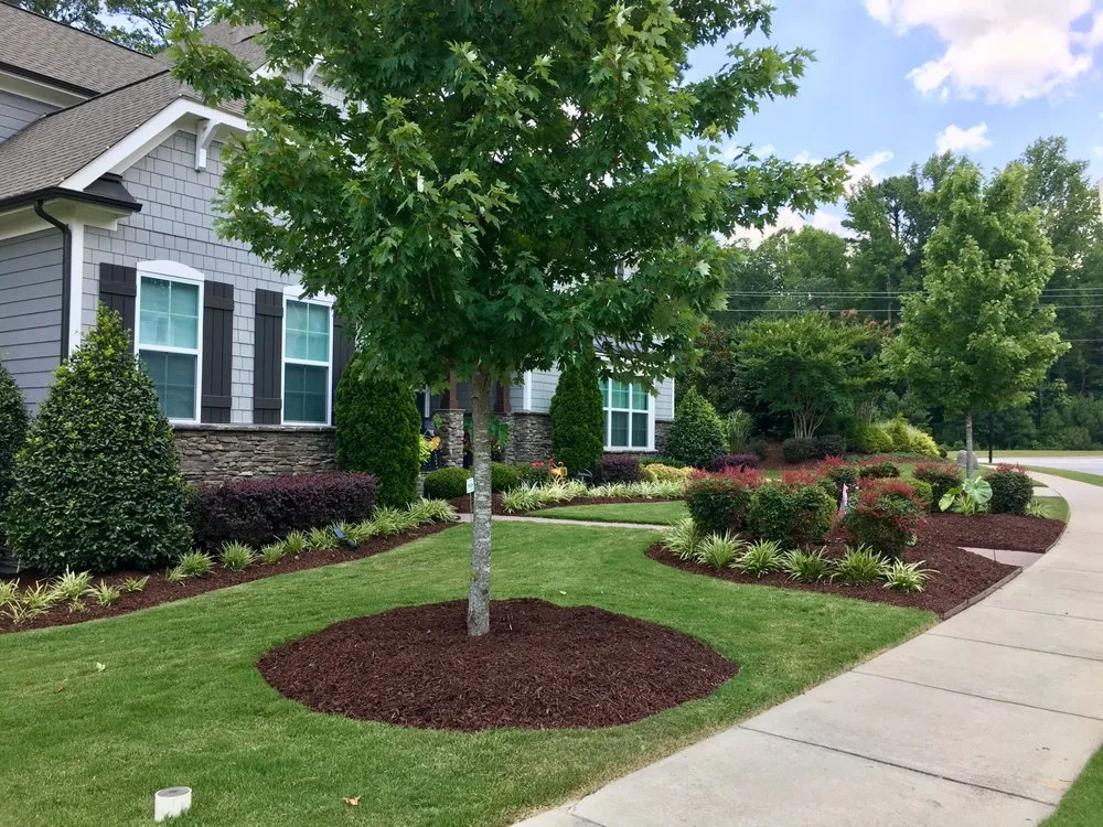 Affordable lawn care service experts serving Raleigh, NC - Deep Green Services