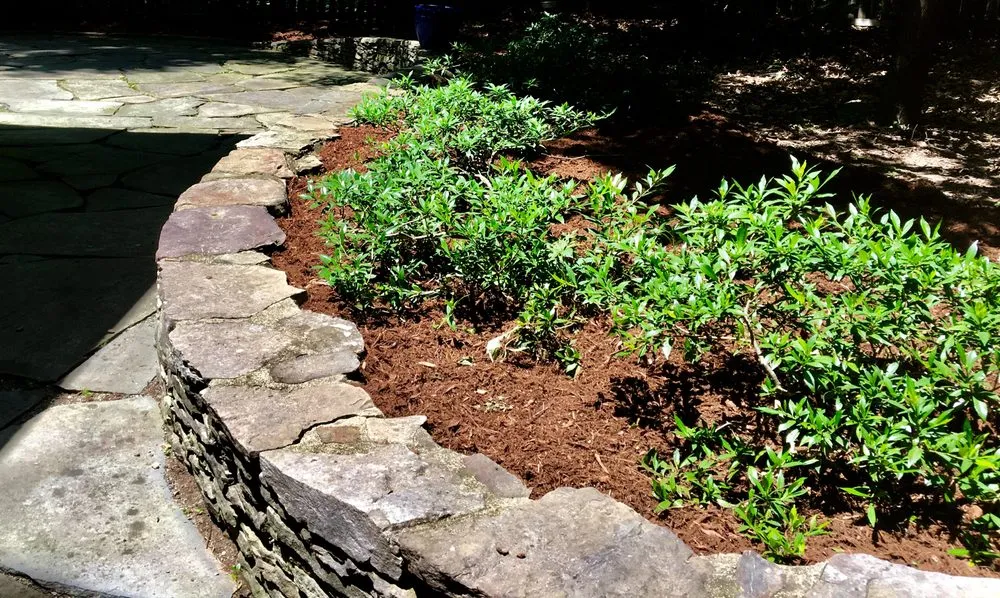 Professional residential landscaping for beautiful yards in Raleigh, NC by Deep Green Services