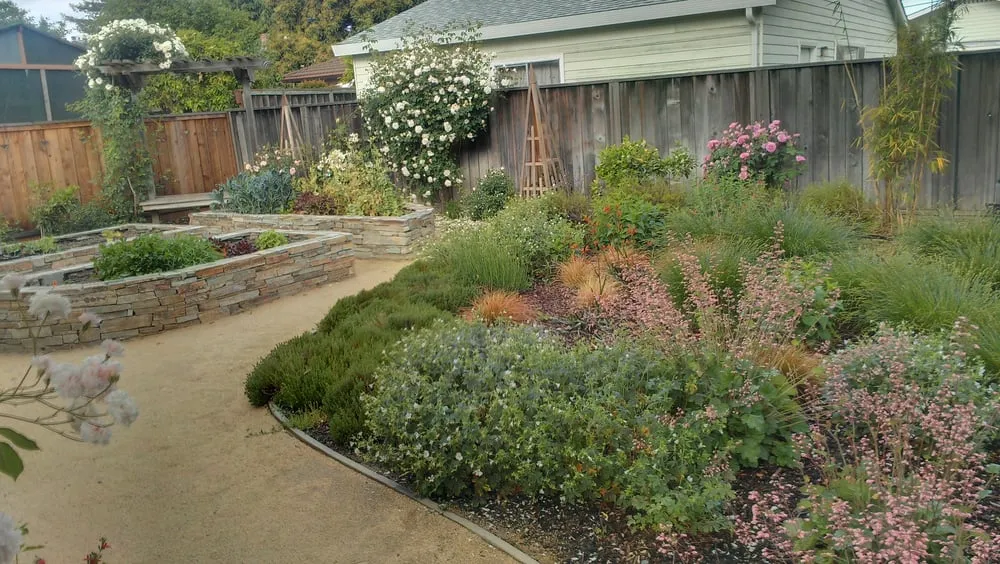Professional residential landscaping near you in Saratoga, CA by Deep Roots Landscape Construction & Design