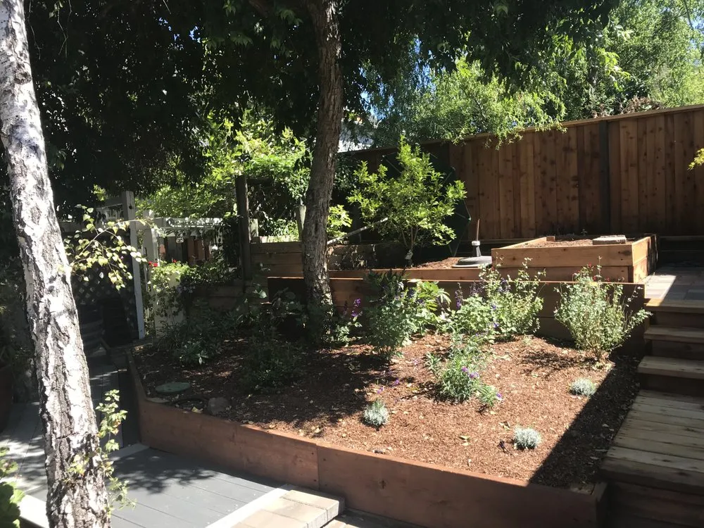 Top-rated landscape design for homes in Saratoga, CA by Deep Roots Landscape Construction & Design