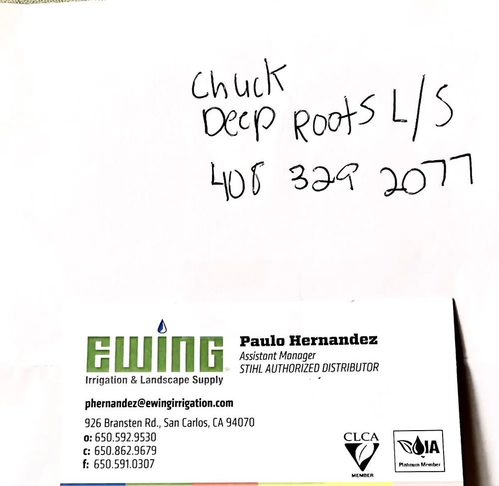 Expert landscaping services experts serving Saratoga, CA - Deep Roots Landscape Construction & Design