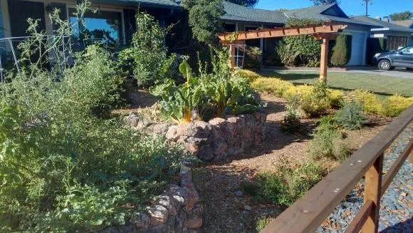 Trusted landscaping services for homes in Saratoga, CA by Deep Roots Landscape Construction & Design