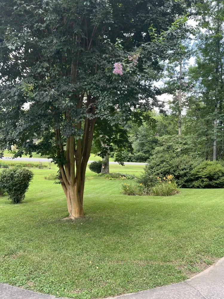 Expert landscape installation experts serving Cedartown, GA - Deep Roots Landscaping