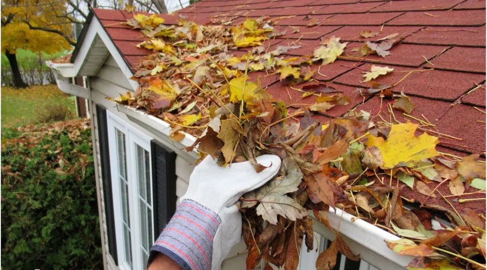 Expert landscaping services in Cedartown, GA - Deep Roots Landscaping