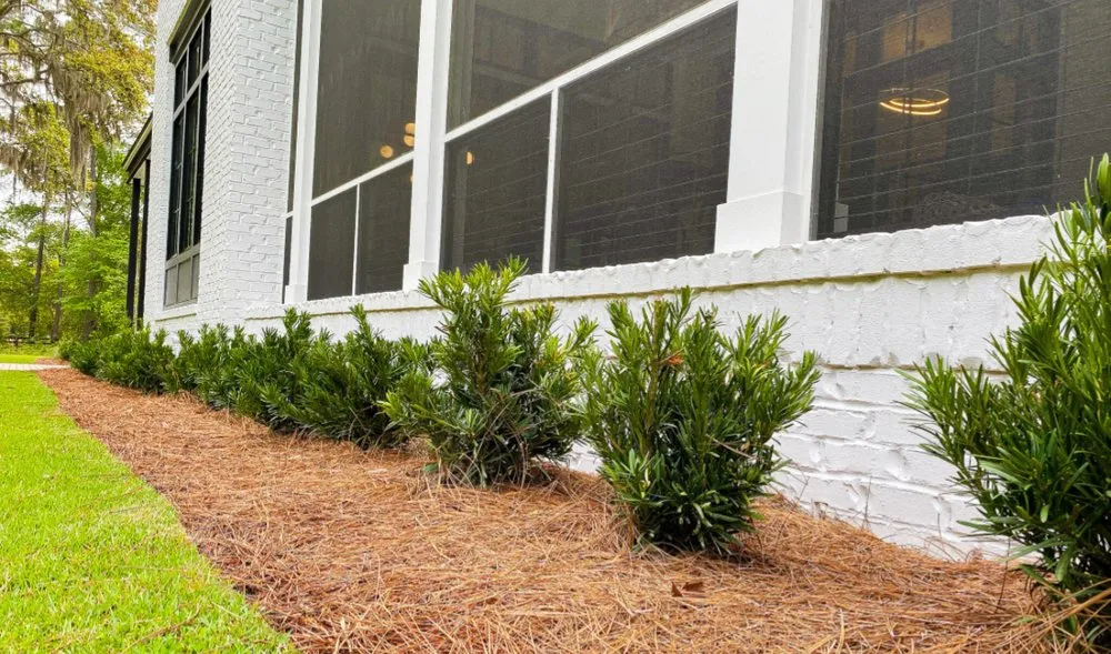 Expert landscaping services near you in Cedartown, GA by Deep Roots Landscaping