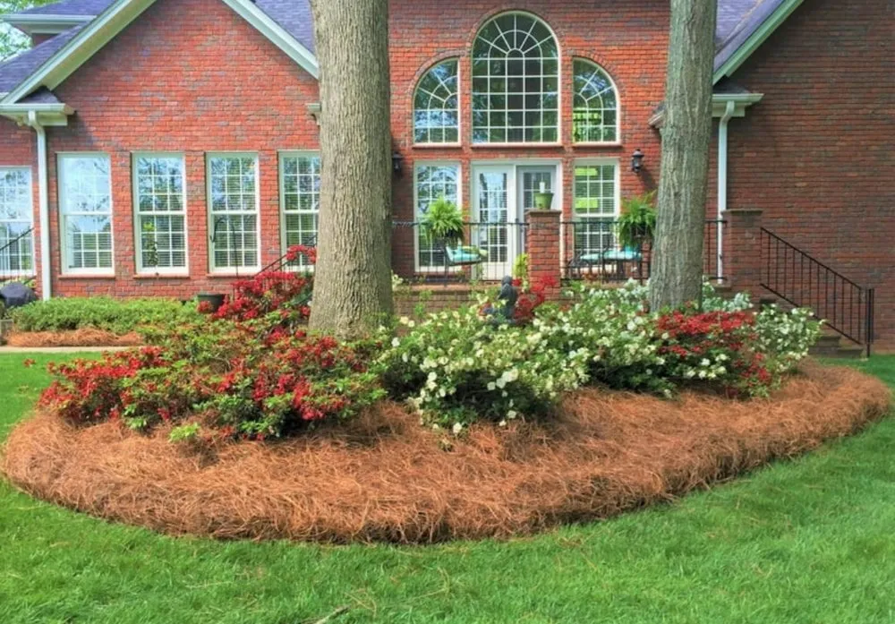 Professional garden landscaping experts serving Cedartown, GA - Deep Roots Landscaping
