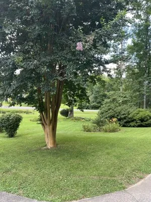 Deep Roots Landscaping