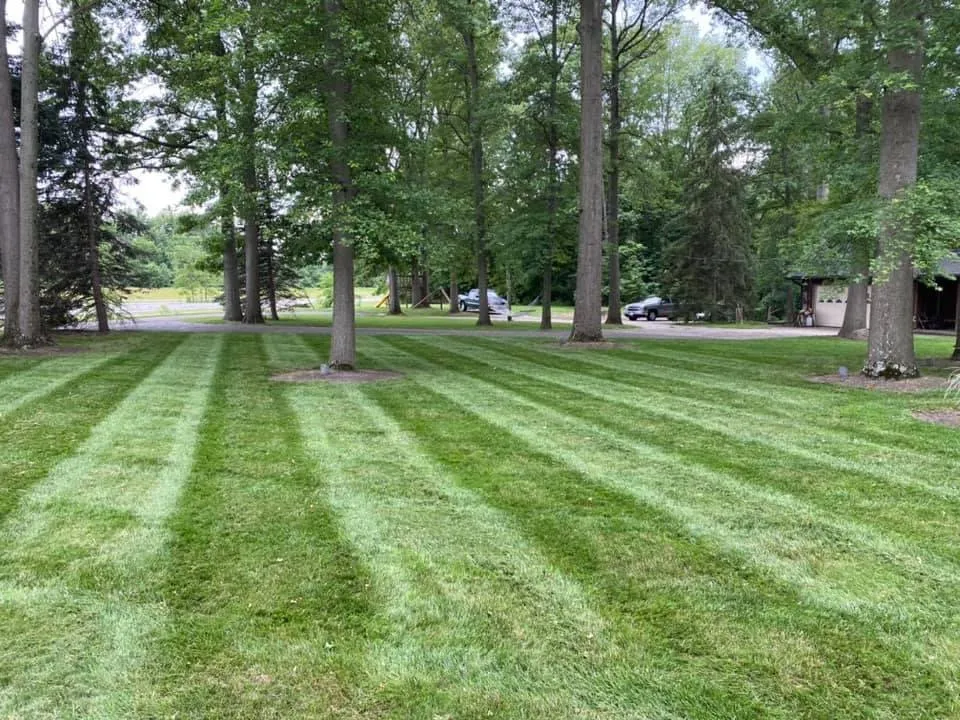 Professional residential landscaping experts serving Elyria, OH - Deep Roots Lawn & Garden